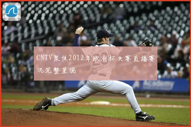 CNTV聚焦2012年欧洲杯决赛直播赛况完整呈现