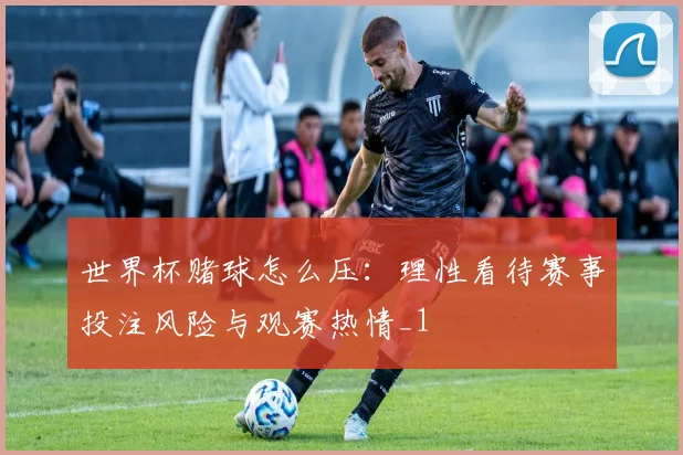 世界杯赌球怎么压:理性看待赛事投注风险与观赛热情_1