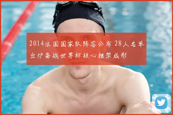 2014法国国家队阵容公布 28人名单出炉备战世界杯核心框架成形