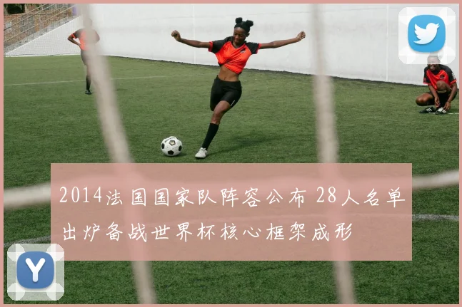2014法国国家队阵容公布 28人名单出炉备战世界杯核心框架成形