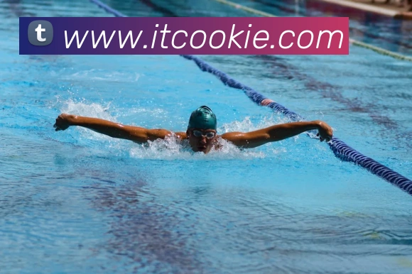 爱体育官网app下载发展历程